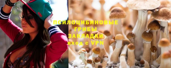 первитин Бородино